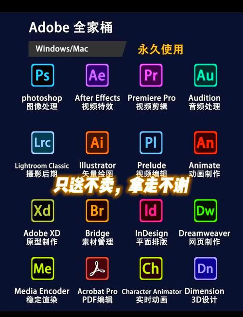 如何下载高等社会?最全下载方法及资源汇总