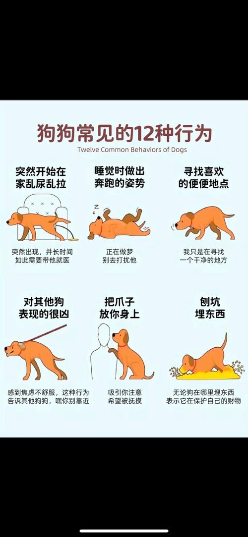 关于冷血动物体温特征，你了解多少？看这里！