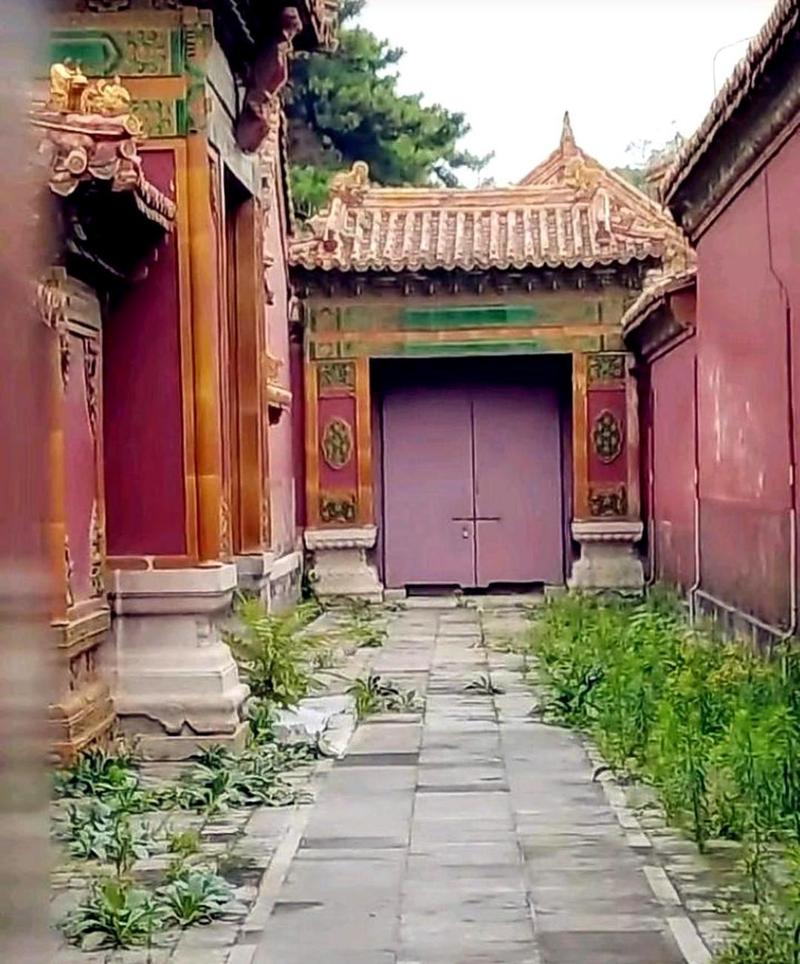 故宫里真的有冷宫吗？为你揭开“冷宫”的神秘面纱！