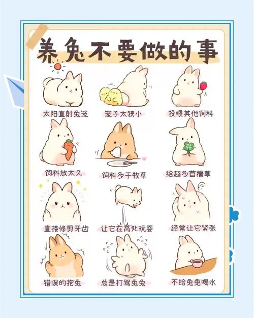 小白兔反套路攻略怎么玩？这几个技巧要知道！