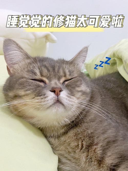 午夜撒娇如何下载安装？超详细教程一看就会！