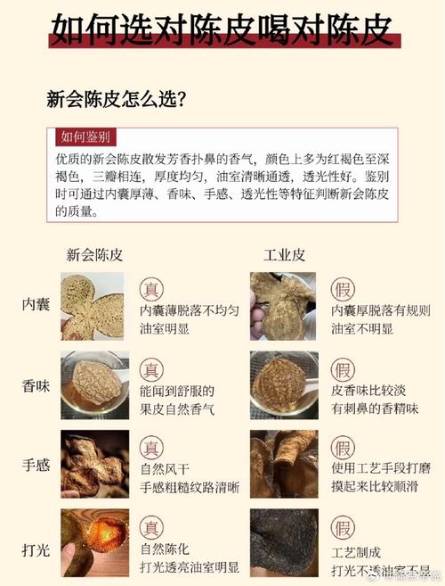 制皮分支选哪个好？看完这篇攻略你就懂了！