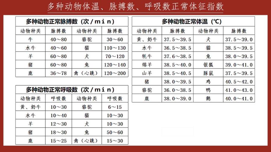 关于冷血动物体温特征，你了解多少？看这里！