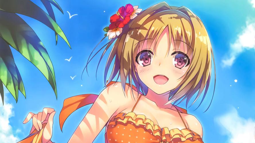 欢迎来到阿鲁毕恩！5dm下载方法看这篇就够了！