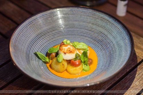 找不到大学狂热下载地址？点这里一键获取！