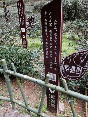 知比山继电石解密怎么玩？超简单攻略看这里！