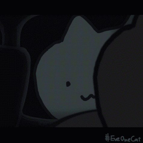 Eveonecat表情包火了！超萌猫咪表情包下载大全