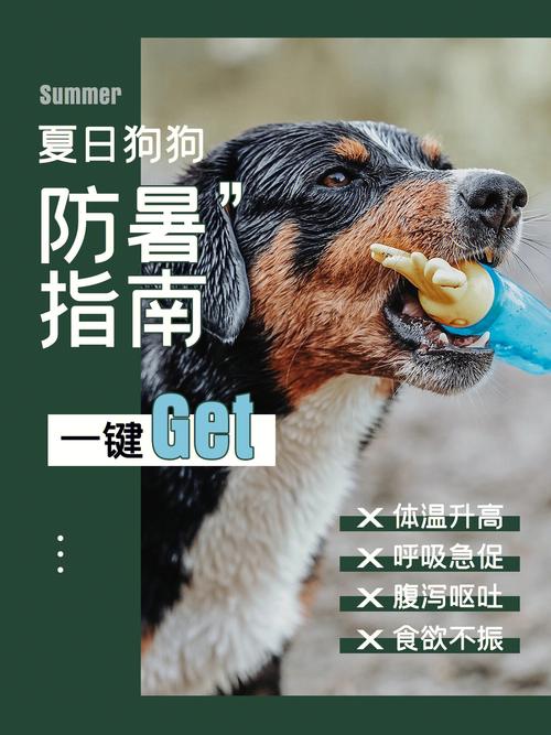 天热狗狗怎么散热?狗狗汗腺位置大揭秘!