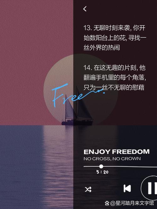 夜幕之花更新地址在哪？追更入口速看！