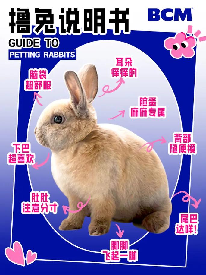 加密兔是什么？小米区块链宠物的诞生与消亡