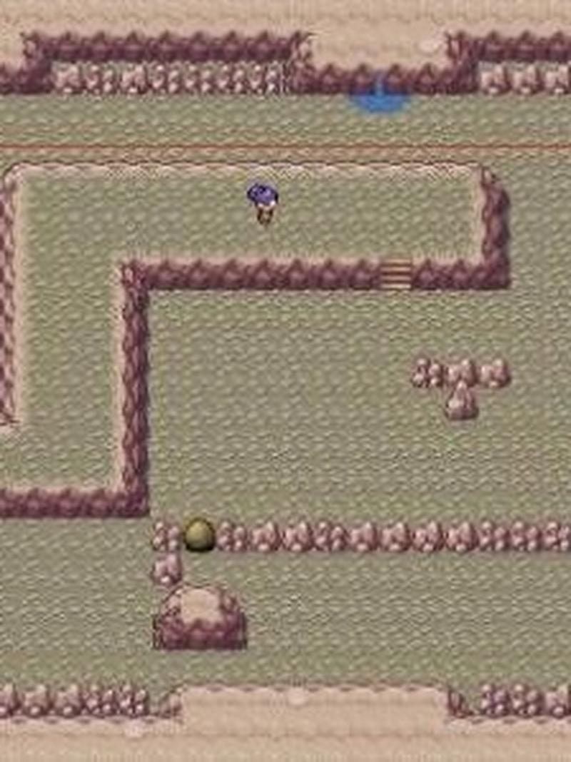 口袋妖怪火红版详细攻略:快速通关技巧分享