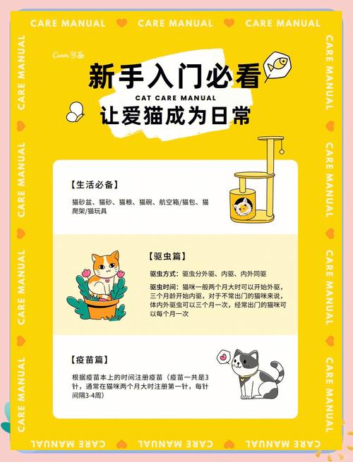 当你的猫咪下载地址及游戏玩法介绍,新手必看