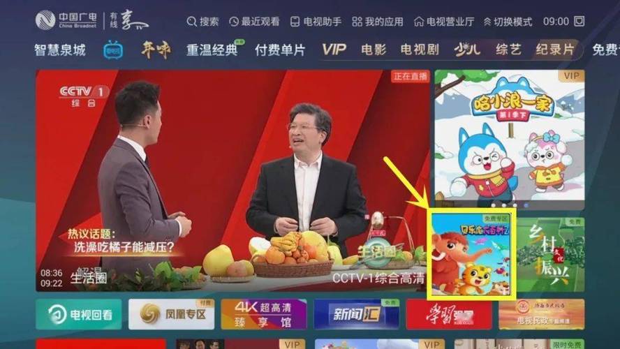 手机免费高清电视直播,海量频道任你选