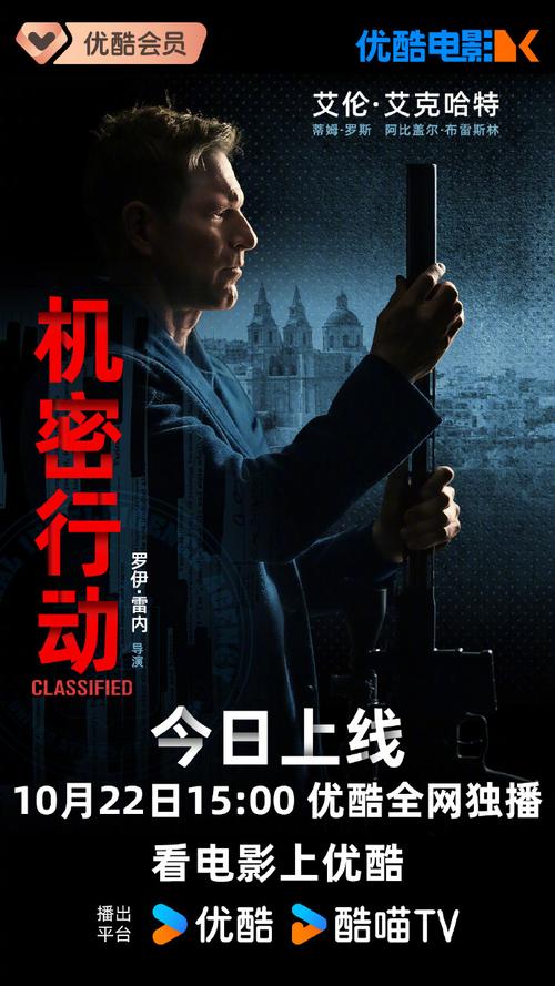 杀手13:多版本解读,带你走进神秘特工的传奇人生!