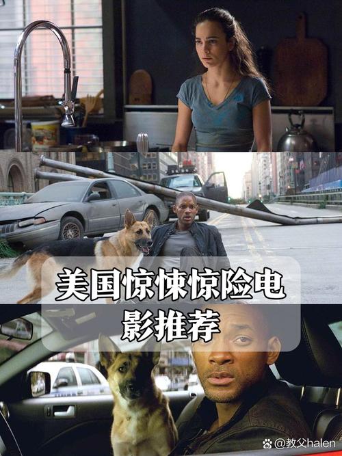 杀手联盟：一部让你心跳加速的惊险电影！