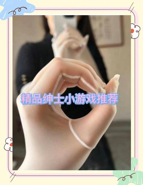 玩转NTR女骑士绅士游戏,高玩技巧与心得分享