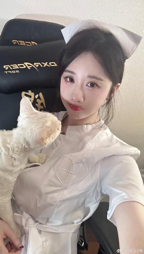 如何下载轩子巨二兔游戏?小白也能轻松上手