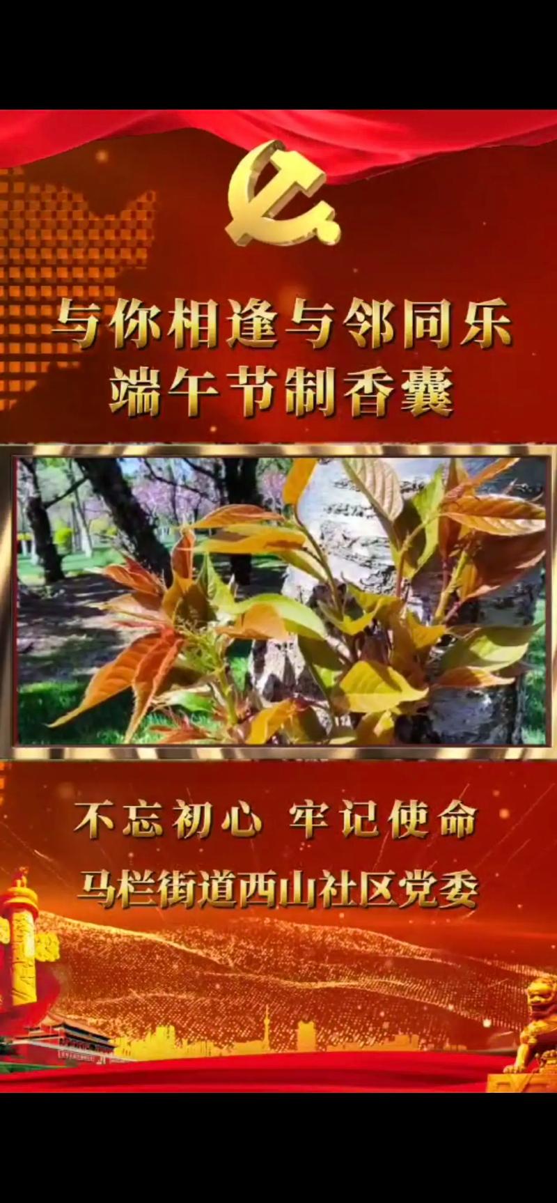 仲火节究竟是什么节日?传说故事与文化解读