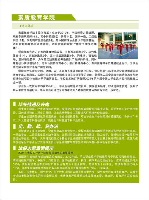 新生活计划版本大全：2024年最全计划模板及指南