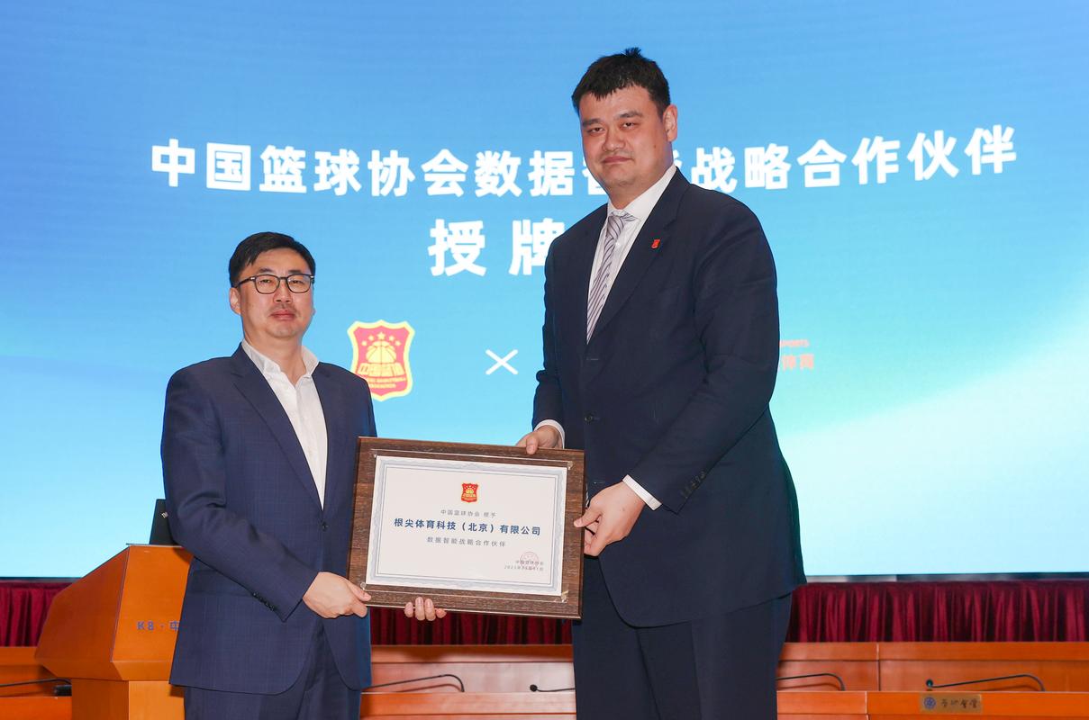 IPL6赛事延期取消内幕：真相究竟是什么？