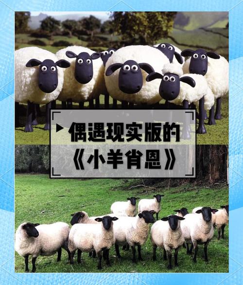 斯拉特福德内有小羊在哪下载？手机版下载地址推荐