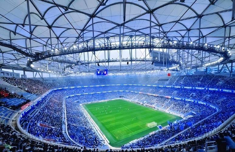 卡迪夫城蓝鸟军团最新：球队降级，球迷抗议声不断