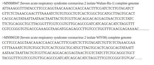 好色小姨内置89汉化版下载地址:免病毒纯净版下载
