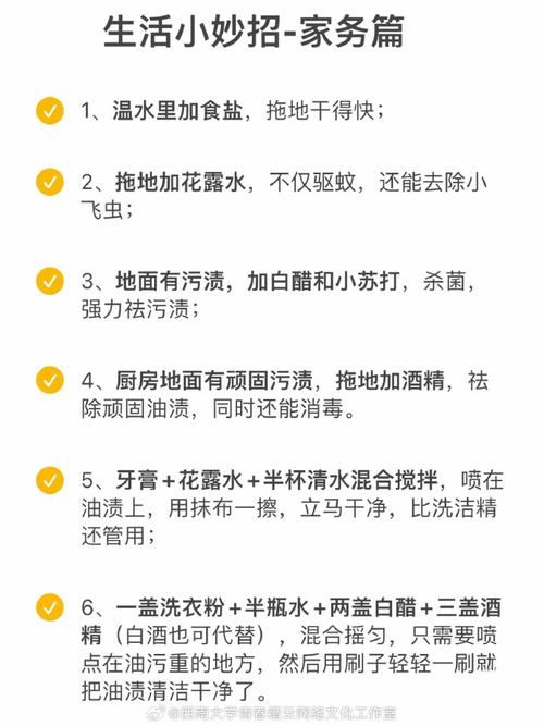 家务最新版本功能详解：轻松搞定所有家务