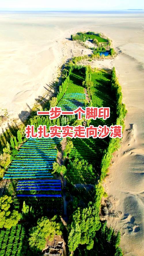 最后绿洲官方网站：进入奇幻沙漠生存世界