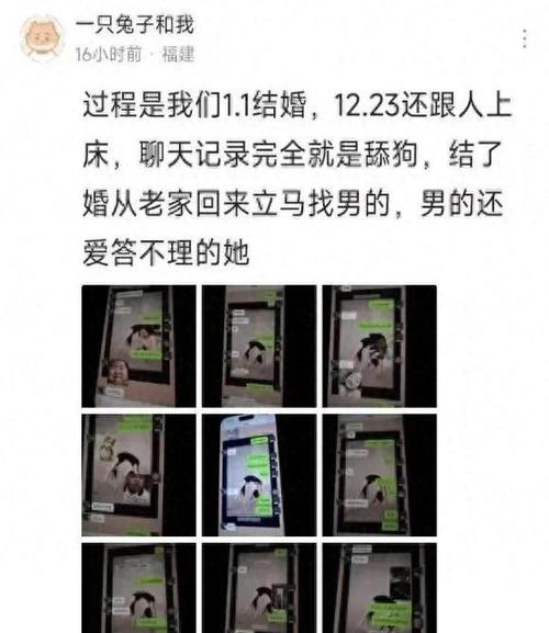 新婚妻子官网：染黑事件始末，网络暴力何去何从？