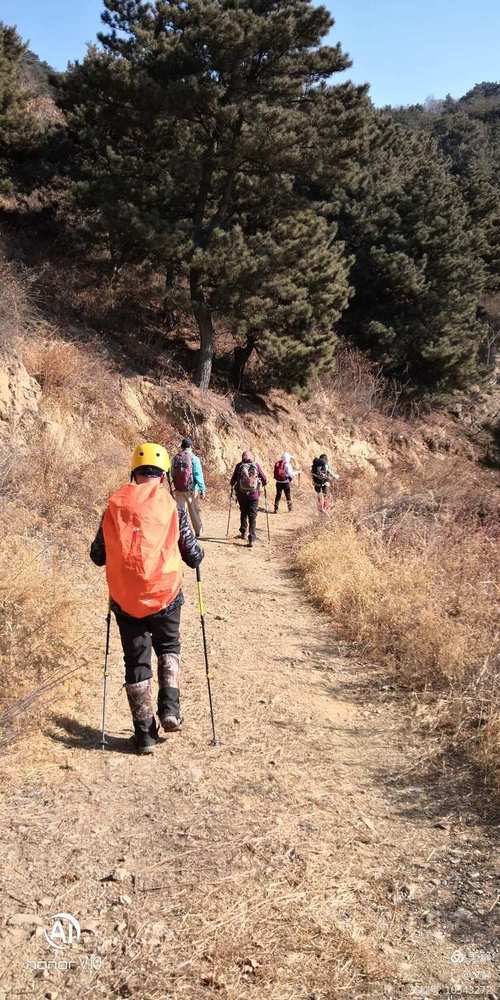 找不到峰回路转下载?这里有你需要的各种版本下载