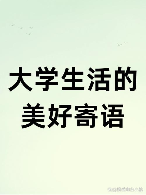 最新版我的大学生活官方正式版下载:畅玩大学生活!
