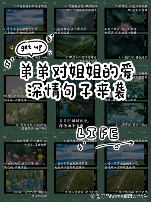 想知道你弟弟喜欢什么游戏？试试银之魔界2