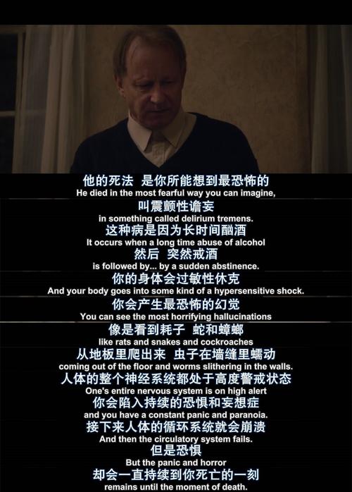 女性瘾者安卓汉化版：不用再找资源啦！