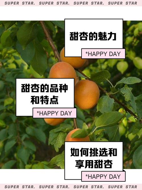 寻找人杏之间官方网站？这里有你需要的全部杏信息