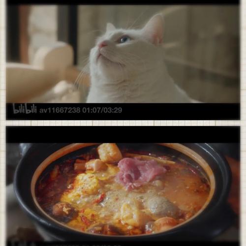 草莓粥粥安卓汉化版下载,超甜美UP主视频合集