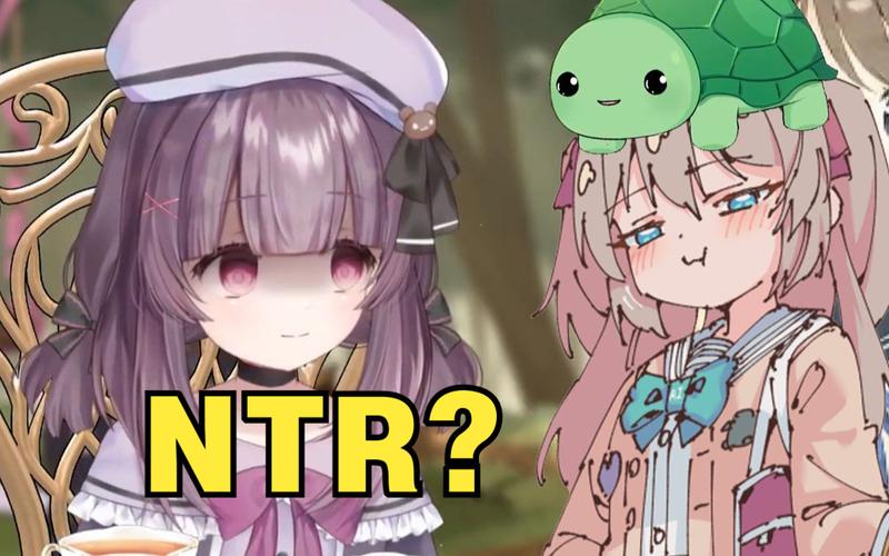 最新NTR商务旅行故事:你不知道的旅途真相