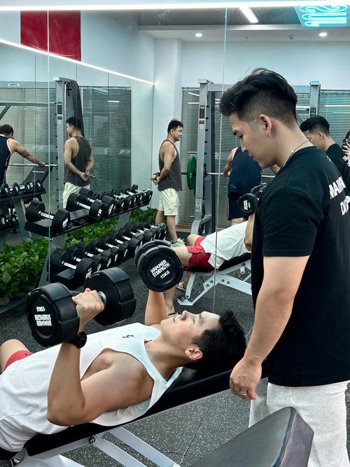 高品质健身教练补课汉化版下载:免费获取