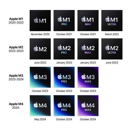 各版本SiliconLust对比：哪个版本最适合你？