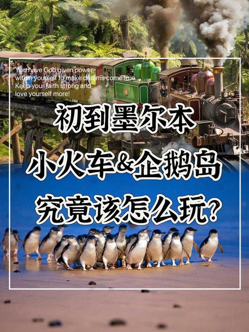 想玩归巢？这里提供官方正式版最新下载