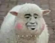 快捷酒店物语汉化版更新啦！最新内容抢先看！