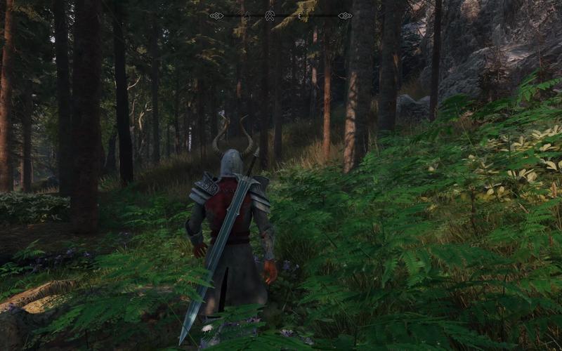 体验不一样的上古卷轴5：绅士MOD安装及玩法详解