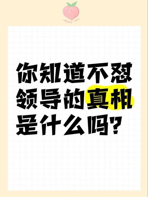 你想知道我不是领导者更新地址吗?这里有!