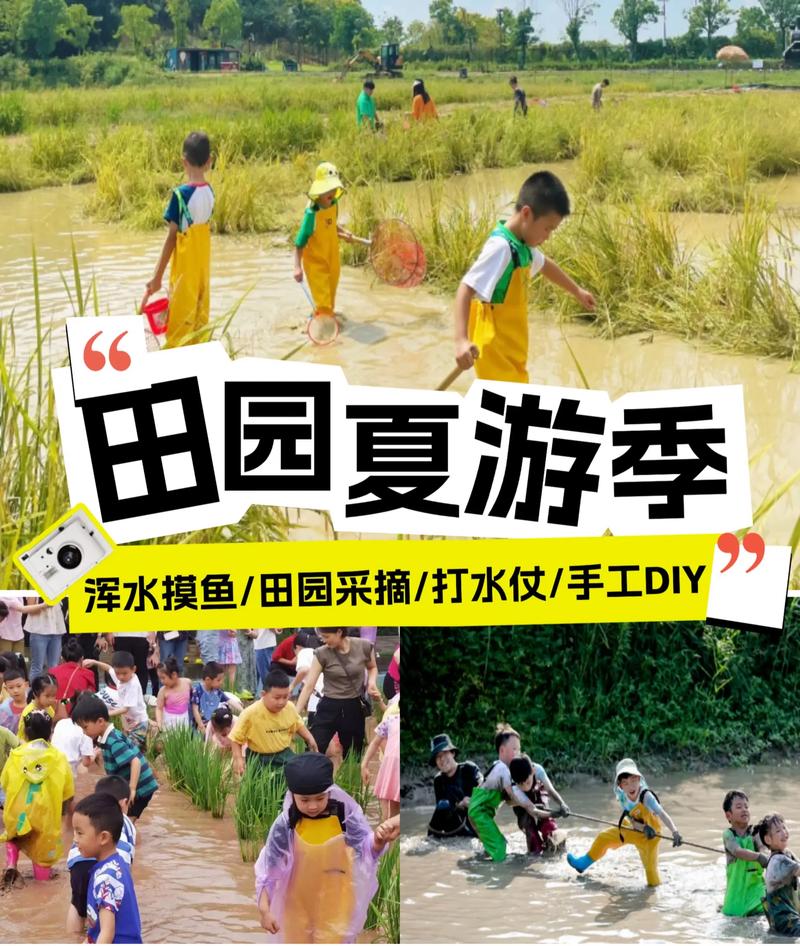 暑假必玩:乡村生活的快乐游戏,体验田园乐趣