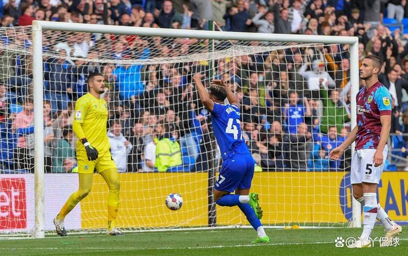 卡迪夫城蓝鸟军团最新：球队降级，球迷抗议声不断