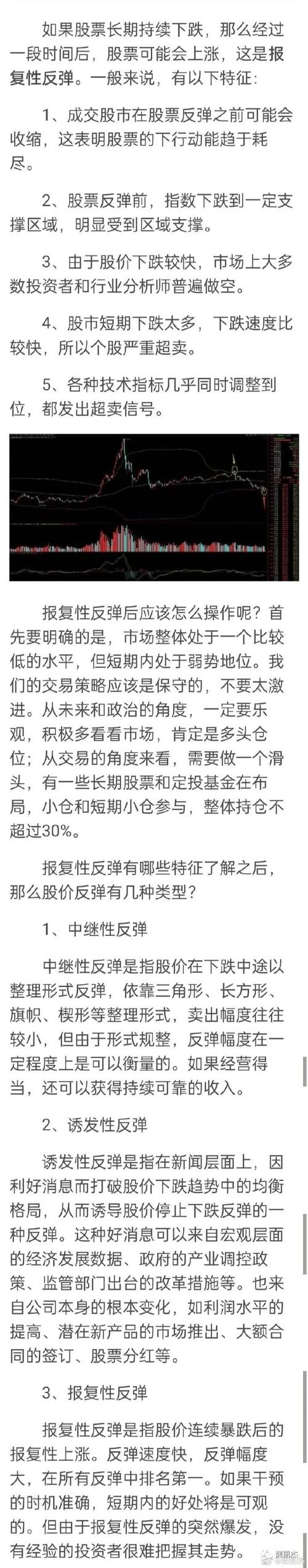 反弹人生汉化版最新更新:玩家必看内容