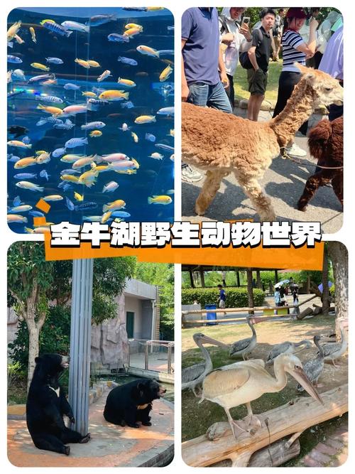 蓝宝石野生动物园官方网站：便捷购票，开启奇妙旅程