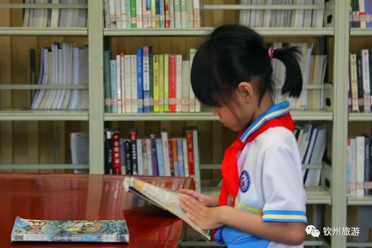 书海阁安卓版下载：一生一次的阅读盛宴