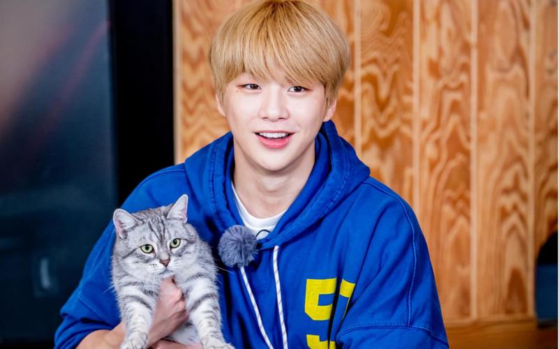 爱与诱惑第二季EP1：你弟弟迷上的那个游戏是什么？