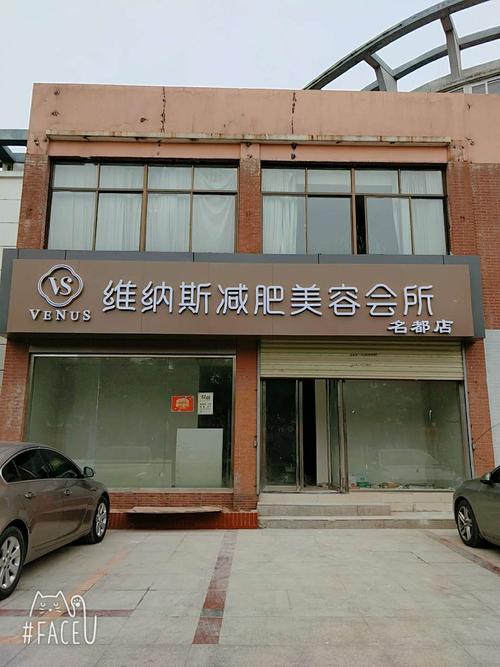 维纳斯俱乐部最新版本下载：玩家体验分享及资源获取